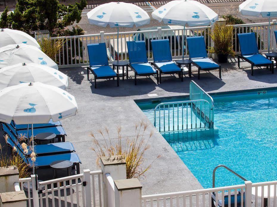 Sandpiper Beach Club Cape May Buitenkant foto